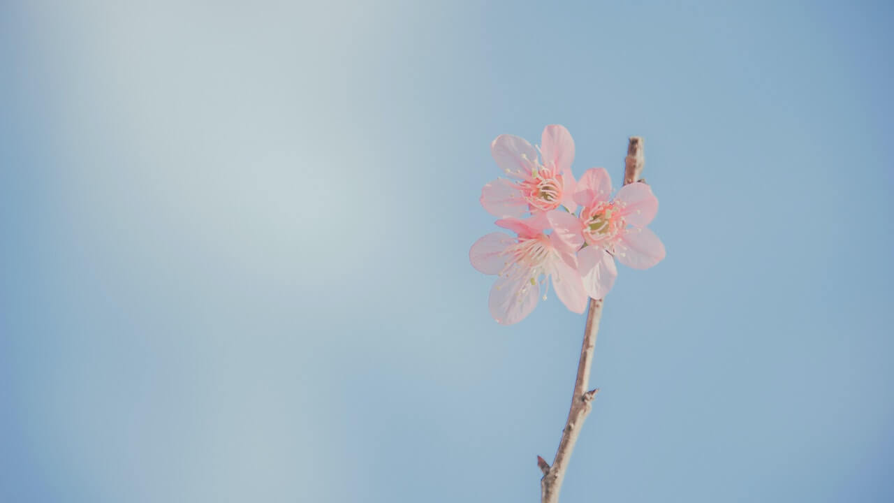 日々是好日 素晴らしい前進 自分を生きることは 最高に楽しいこと 生きたい自分に 出会いに行こう Onsa 文筆業 藤沢優月 Official Site